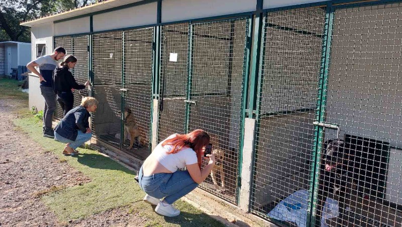 Posjet azilu u Rijeci 2023. 